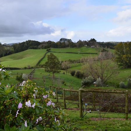 Runciman Berries&Emus B&B Ramarama Exterior foto