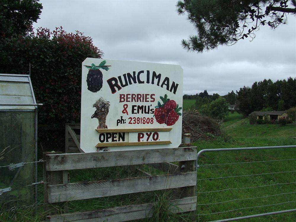Runciman Berries&Emus B&B Ramarama Exterior foto