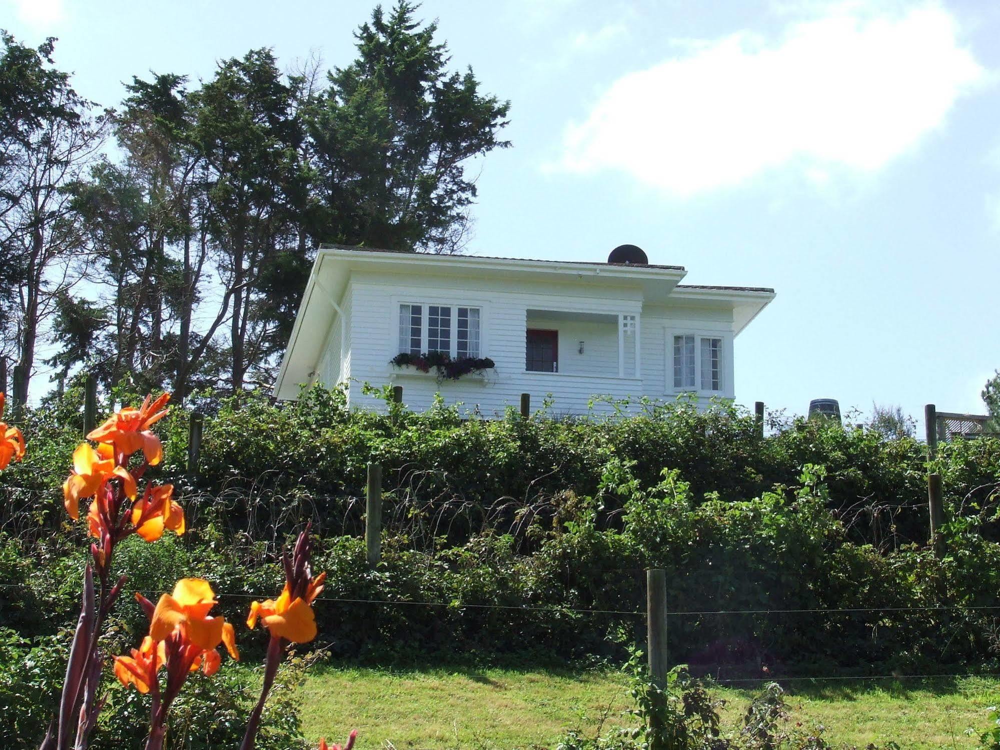Runciman Berries&Emus B&B Ramarama Exterior foto