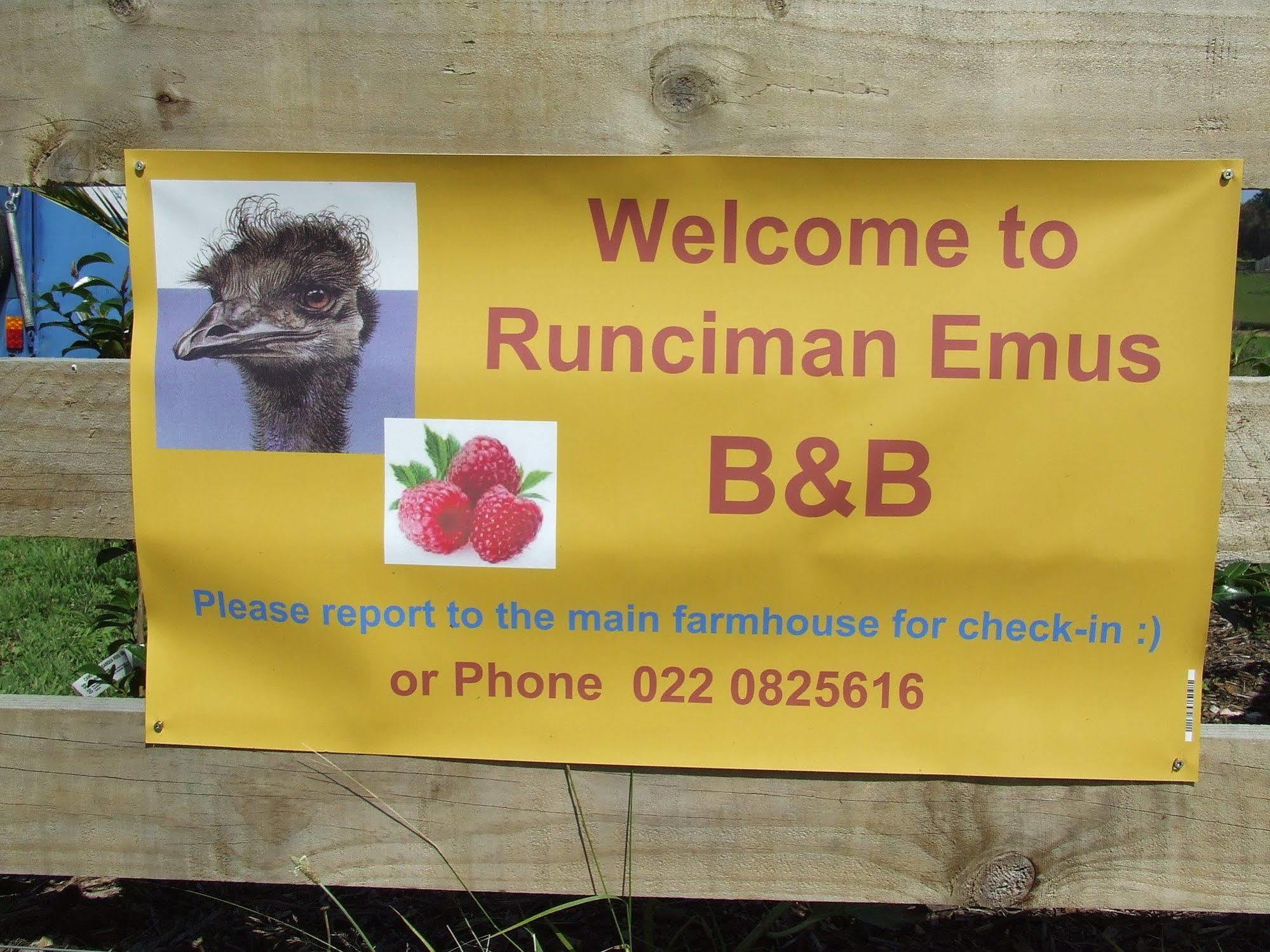 Runciman Berries&Emus B&B Ramarama Exterior foto
